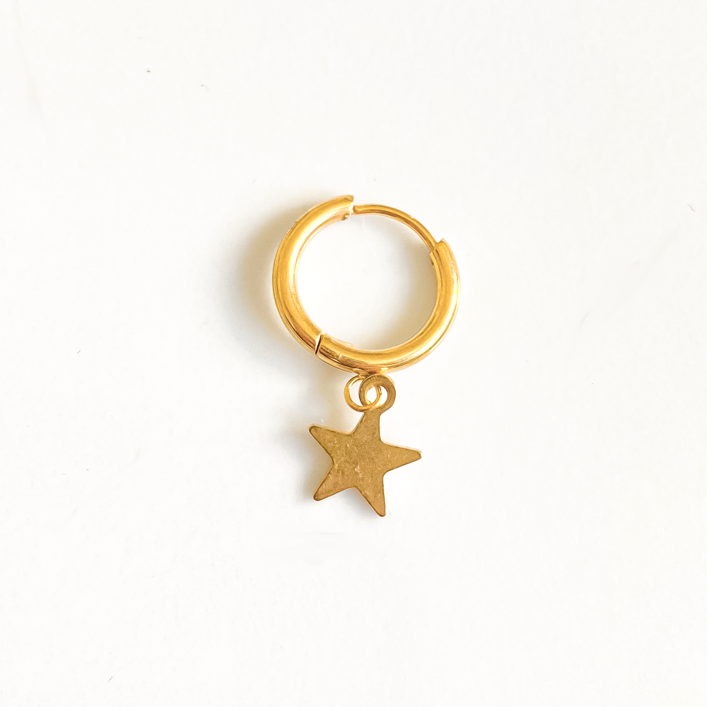 Une boucle d'oreille en acier inoxydable, sobre et élégante, arbore une étoile dorée délicate qui capte la lumière avec subtilité. Son design minimaliste fusionne modernité et glamour, ajoutant une touche de sophistication à toute tenue. L'éclat de l'étoile dorée contraste magnifiquement avec la finition métallique argentée de l'acier inoxydable, créant un équilibre visuel harmonieux.